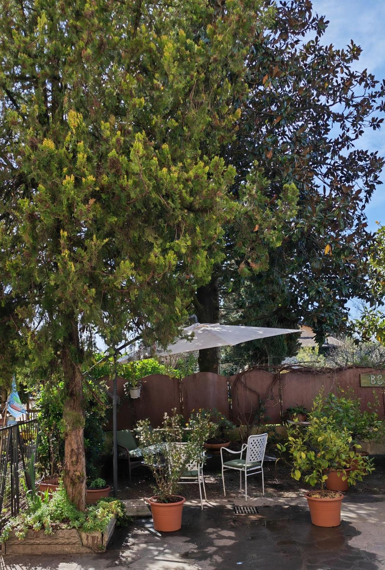 B&B Lamagia Di Corte Moronati 시르미오네 외부 사진