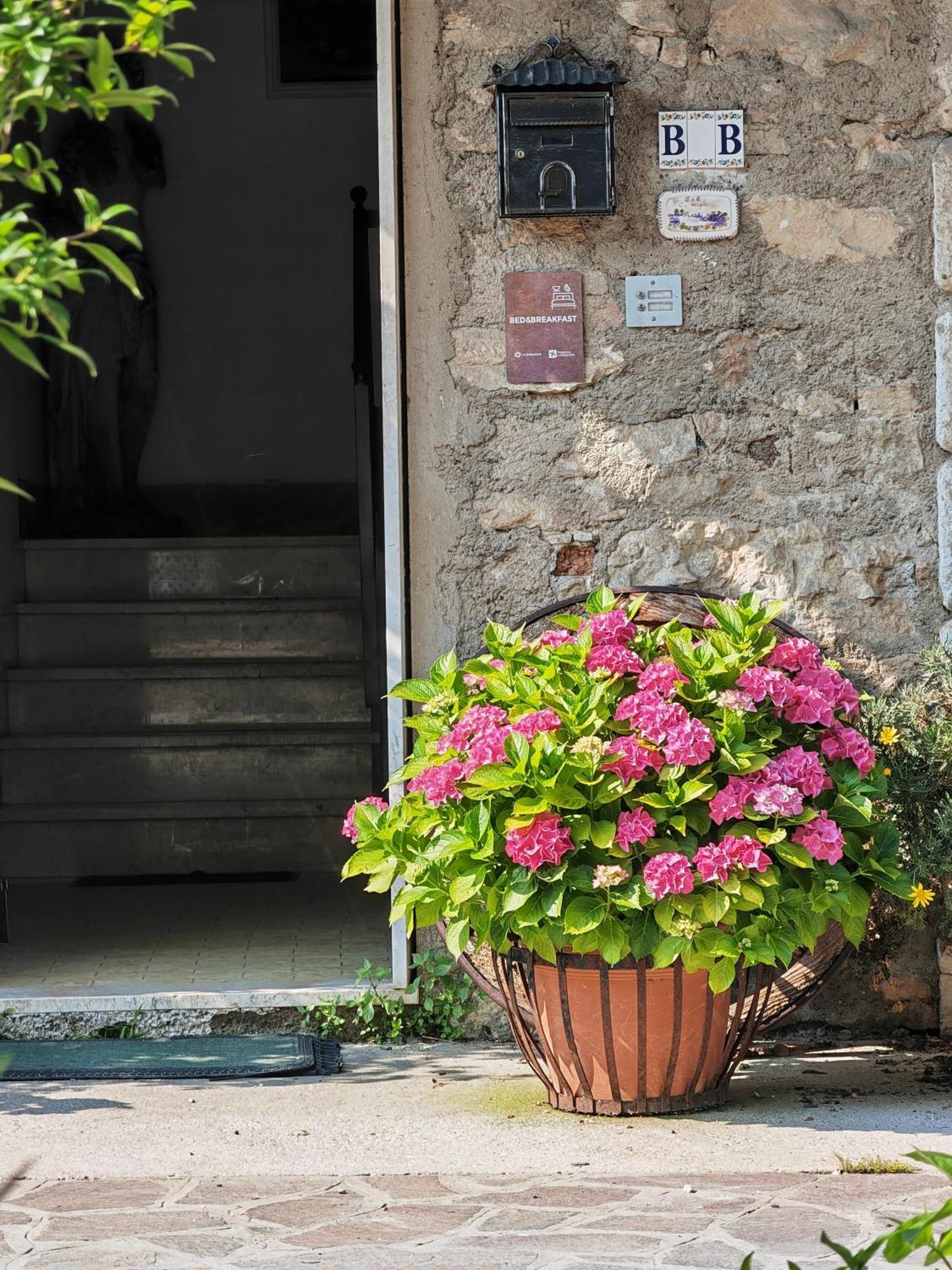 B&B Lamagia Di Corte Moronati 시르미오네 외부 사진